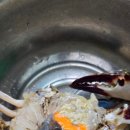새마을마트 | 5월 잠실 마실 기록 | 롯데마트 야구 굿즈와 새마을시장 꽃게 후기