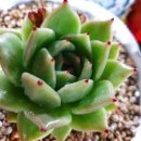 이황 주유소 이미지