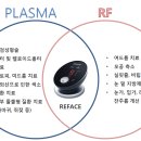 리페이스(reface)