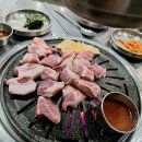 문치비