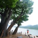 연꽃마을건넌들 이미지