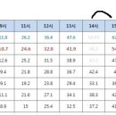 현재의 투표적체현상과 15대 대선 시간당 투표율 비교결과 올해대선 80% 이상도 가능하네요. 이미지