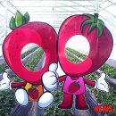 농업기술센터(통신사 설치)2 이미지