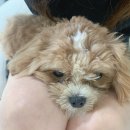 르에브뷰티