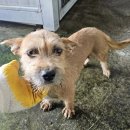 간동파출소 이미지