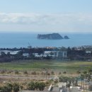 서귀포튼튼공인중개사사무소 이미지