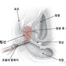 스타비뇨기과의원 이미지