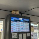 더스테이 | 가평 더스테이 힐링파크 예식하객 후기 2탄💍👰🏻‍♀️💗