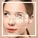 뚱슈헤나 이미지