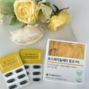한국생활건강연구소 포스파티딜세린 징코PS, 기억력과 혈행 개선을 위한 하루 한 알 두뇌 영양제 후기