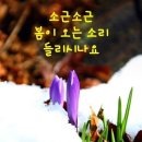 온천탕 이미지