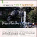천지연폭포 티스토리