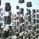 청솔농장3 이미지