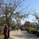 중앙공원 4지구 화장실 이미지