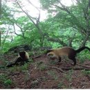 원등공원 이미지