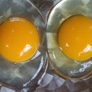 건강한 아리농장 이미지