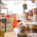 연재문고 이미지