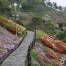 숲쟁이로 이미지