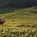 푸른영상 이미지