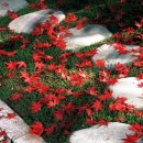 내가 더 이미지