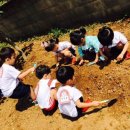 글로벌새싹어린이집 이미지