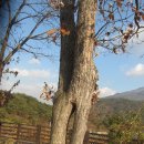 새울신협 이미지