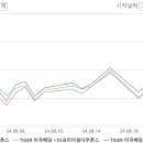 11305-7-26 이미지