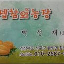 요셉농장 | 성주참외&lt;요셉농장&gt; 후기