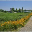 바다의별팬션 이미지