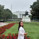 백악관2 | [DC] 워싱턴DC 백악관 예약하기, 관람 방법, 입장 방법, 주의사항, 관람 후기 White House 화이트하우스...