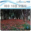 여수시오동도관리사무소 이미지