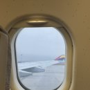 1085 | 시간을 돈으로 사는 김포-하네다 아시아나 항공 OZ1085/1035 왕복 후기, 꿀팁 대방출