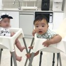149일 아기 프라이빗 키즈 워터룸 조동 모임 <판교 도치트리오>