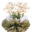 신송고등학교내 이미지