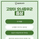 왜관동물병원 이미지