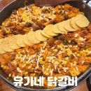 유가네 닭갈비 대신점 | 현풍 테크노폴리스 맛집 점심 저녁으로 든든한 유가네 닭갈비 대구현풍점 치폴레와르르 추천