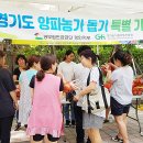 D.C장터