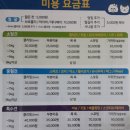 숑숑 그루밍 이미지