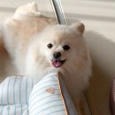 명진프린팅