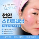 천안 스킨플래닝 후기, 청수동 피부관리 눈썹가게에서 화장 잘 먹는 피부 완성