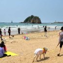 태안 썬스톤풀빌라 이미지