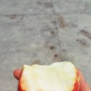 영등포청과시장 이미지