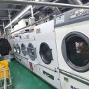 유동세탁소 이미지