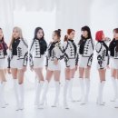 보토패스 카카오 검색결과