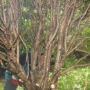 한울목장 이미지