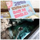 5월 공주-부여 가족여행 2일차: 백마강 황포돛배 타고 백제 역사 속으로! (고란사, 낙화암, 들기름 막국수)