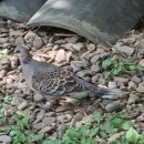 경천 농장 이미지