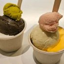 프렌치 페이지 이미지