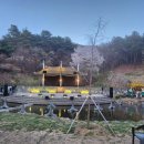 대가야테마관광지 야외무대 이미지