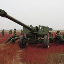 중국 육군(PLA) 59-1식 130mm 평사포 이미지